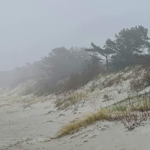 Photo #7211609