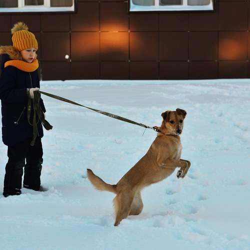 Photo #7211632