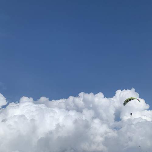 Photo #7211874