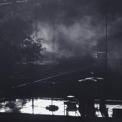 Photo #7212274