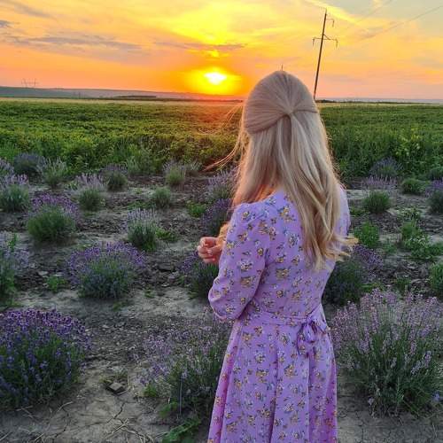Photo #7212482