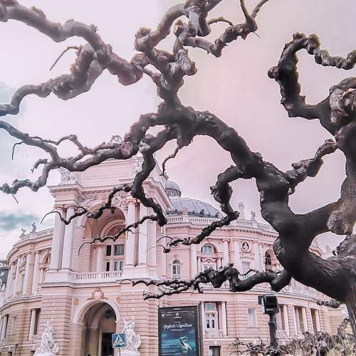 Photo #7212492