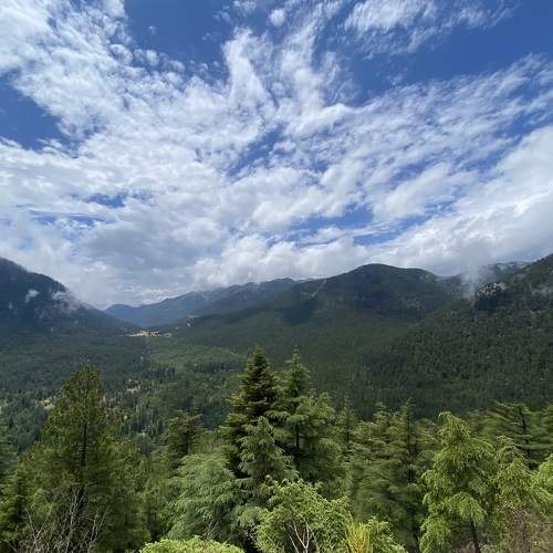 Photo #7212672