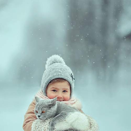 Photo #7213345