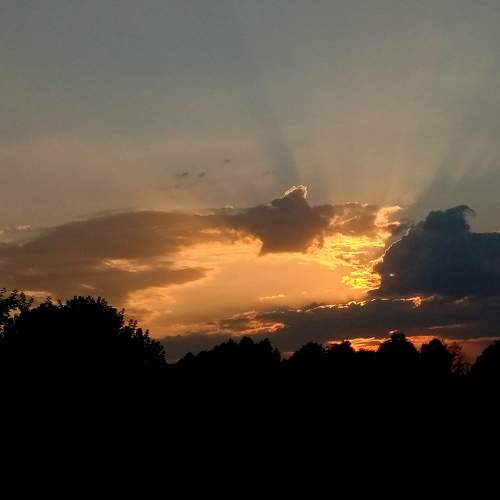 Photo #7213478