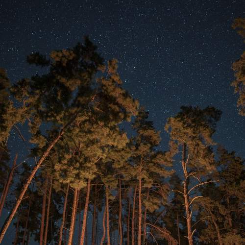 Photo #7213509