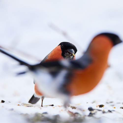 Photo #7213548