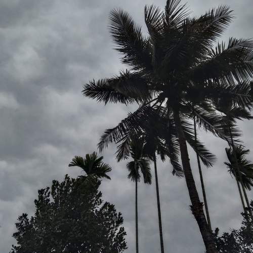 Photo #7213806