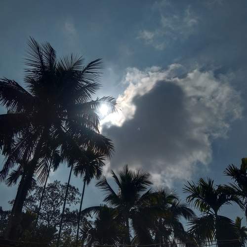 Photo #7213807