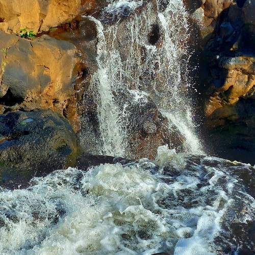 Photo #7213895