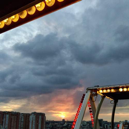 Photo #7214170