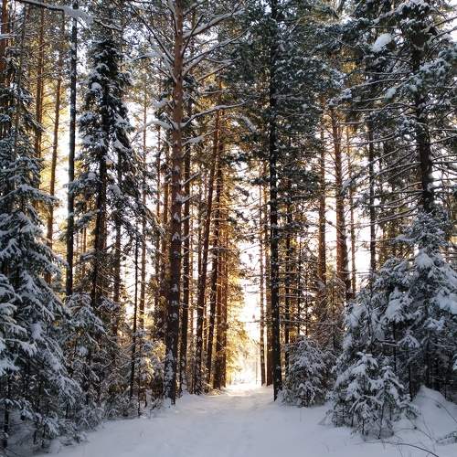 Photo #7214585