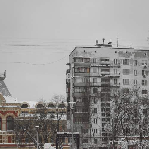 Photo #7214964