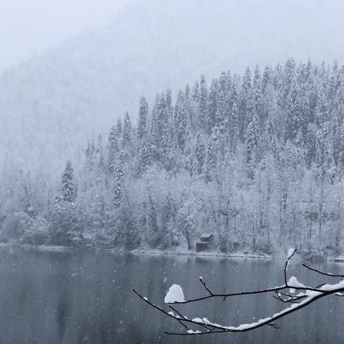 о. Рица