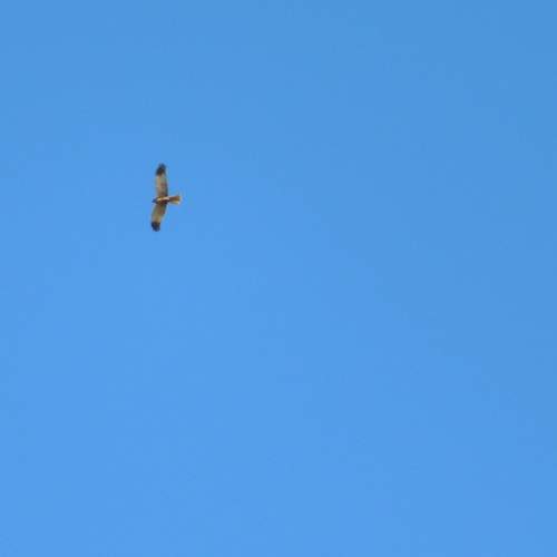 Photo #7215709
