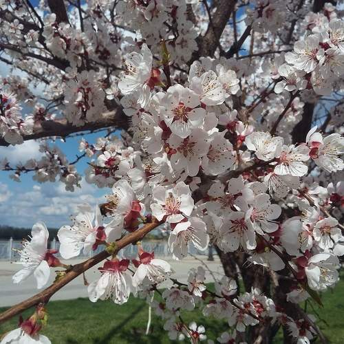 Photo #7215820