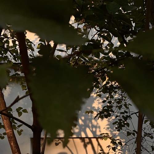Photo #7216397
