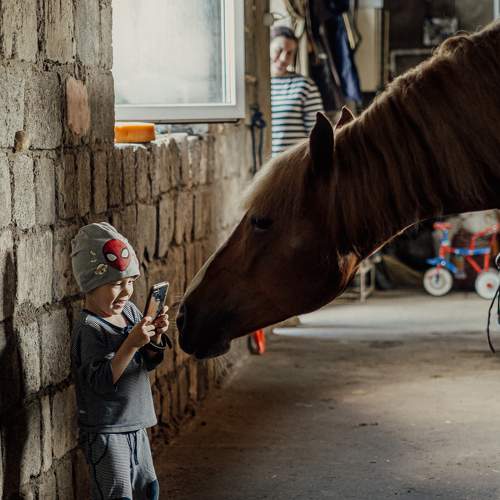 Photo #7216486
