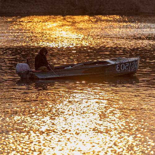 Photo #7216808