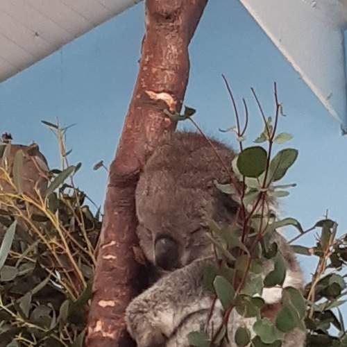 Photo #7216827