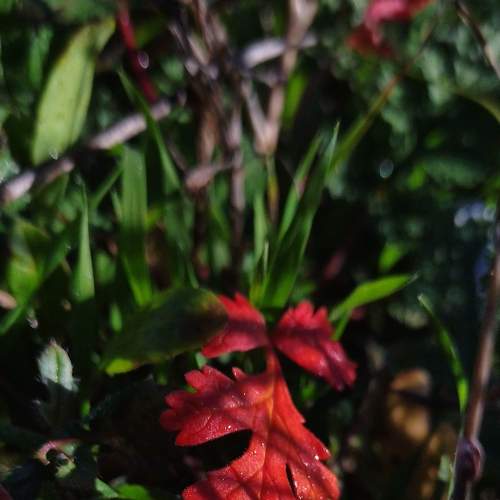 Photo #7217187