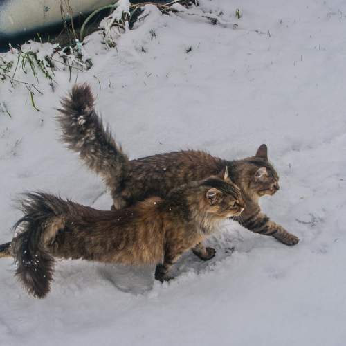 Photo #7217405