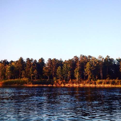 Photo #7217450