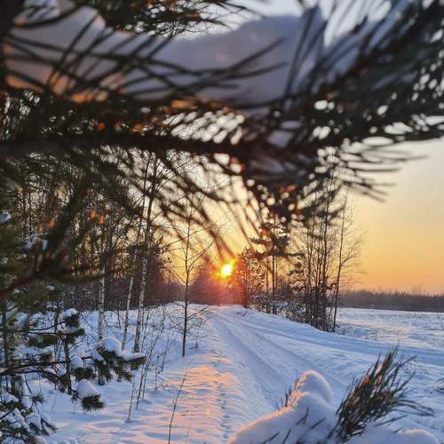 Photo #7217507