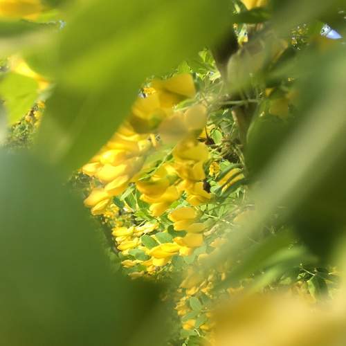 Photo #7217901