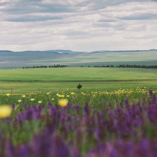 Photo #7217946