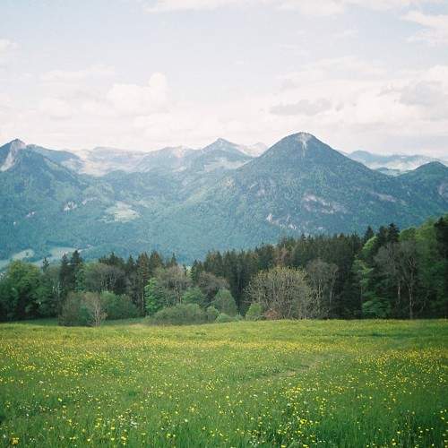 Photo #7218188