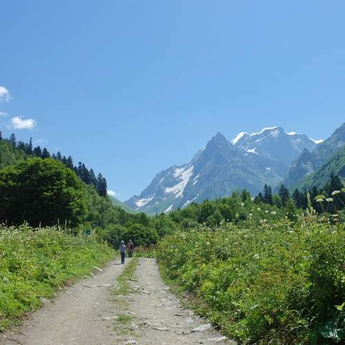 Photo #7218292