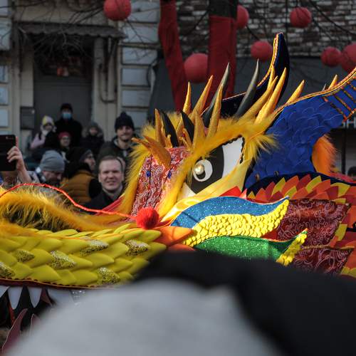 Photo #7218520