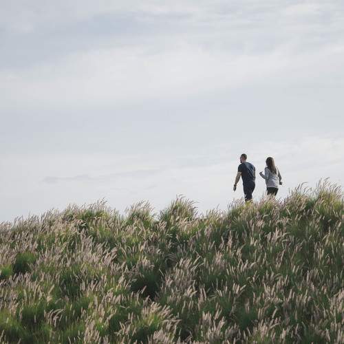 Photo #7218776