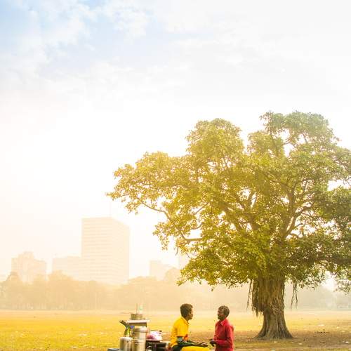 Photo #7218799