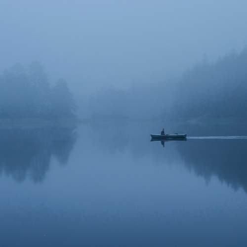 Photo #7218859