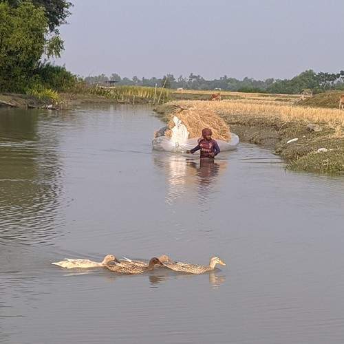 Photo #7218979