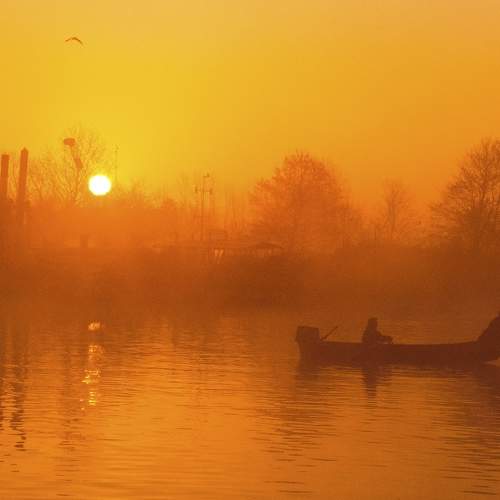 Photo #7219172
