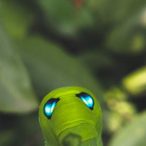 Photo #7219216