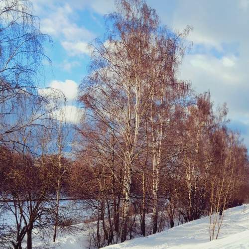 Photo #7219239