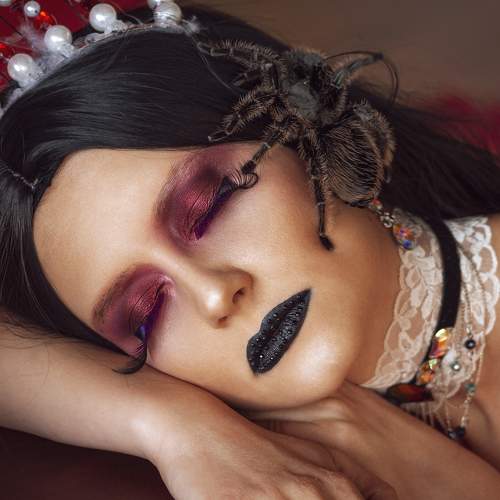 Photo #7219489