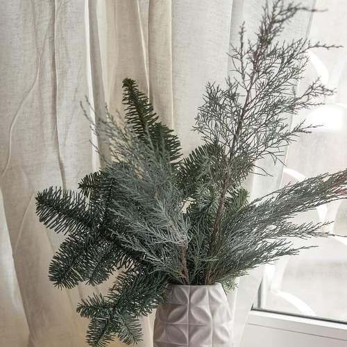 Photo #7219528