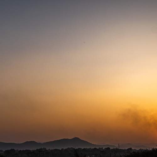 Photo #7219608