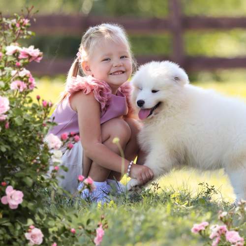 Photo #7219611