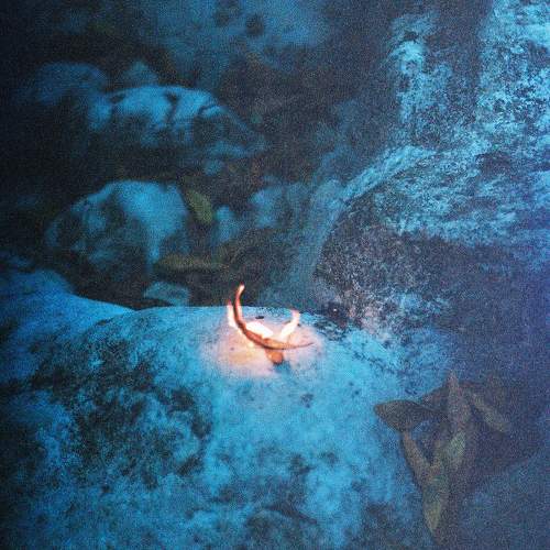 Photo #7219664