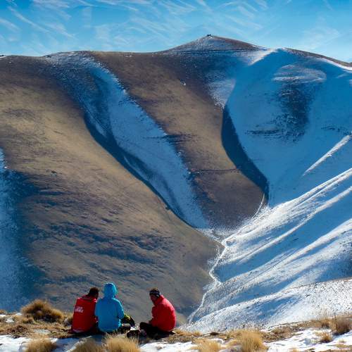 Photo #7219879