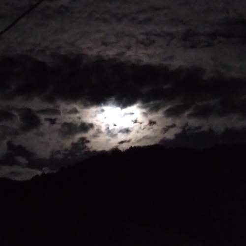 Photo #7219900