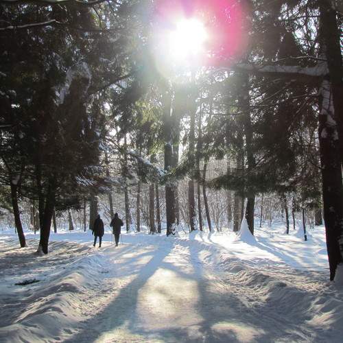 Photo #7219936