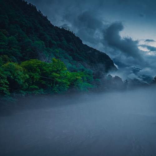 Photo #7220239