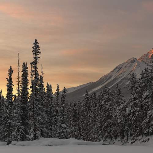 Photo #7220342